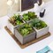 Artificial Succulent Arrangement Faux Plant Centerpiece with Decorative Rustic Wood Planter Boxes on Base Tray
